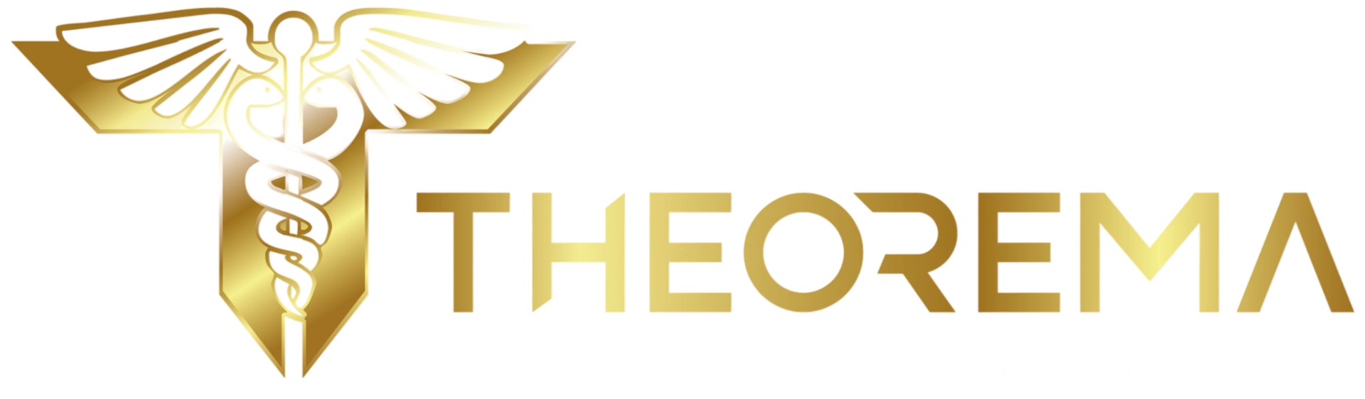 Theorema Contabilidade e Consultoria LTDA